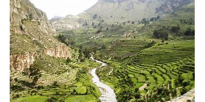 ANDAMARCA