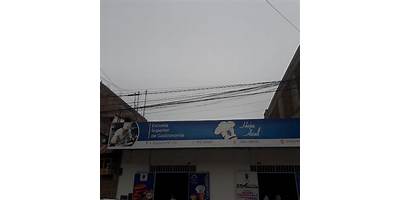 HOJA AZUL