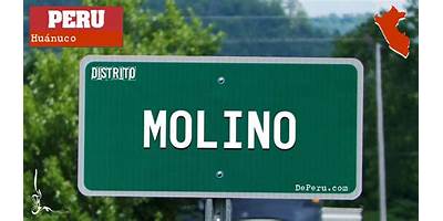 MOLINO