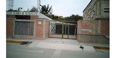 NUESTRA SEÑORA DE GUADALUPE