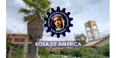 ROSA DE AMERICA