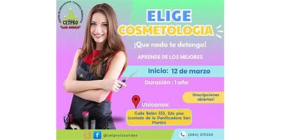 TECNICOS EN COSMETOLOGIA SISTEMAS Y BELLEZA TECSYB