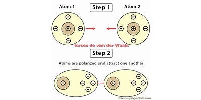 VAN DER WAALS
