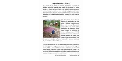 0589 GERARDO PINEDO VELA