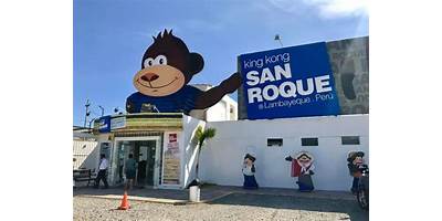 10993 PATRON SAN ROQUE
