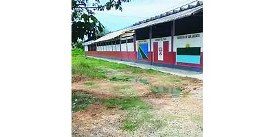 121 SARITA COLONIA ZAMBRANO