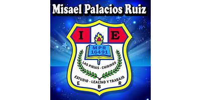 16491 MISAEL PALACIOS RUIZ