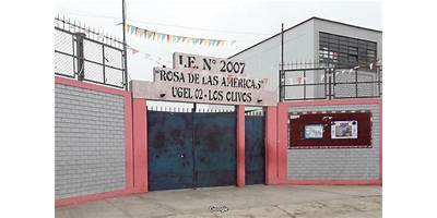 2007 ROSA DE LAS AMERICAS