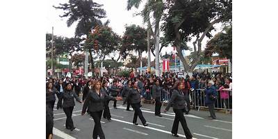 21006 FLOR DE MARIA DRAGO PERSIVALE