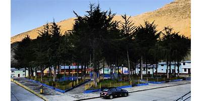 22051 DOMINGO SALDAÑA G.