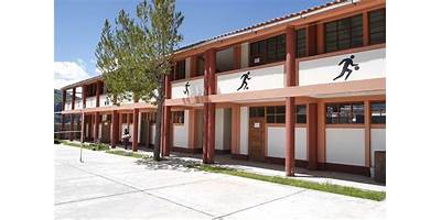 24332 LUZ DE LOS ANDES