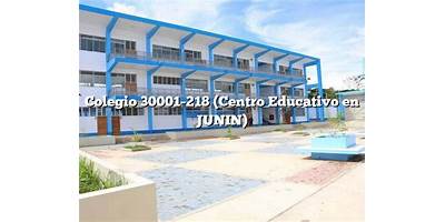 30001-10 MAXIMO GAMARRA ROJAS