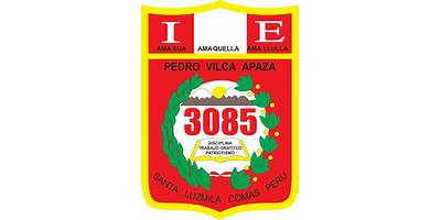 3085 PEDRO VILCA APAZA