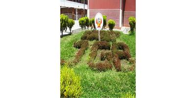 31020 JOSE GALVEZ BARRENECHEA