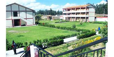 31543 TUPAC AMARU