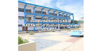 32146 AGROPECUARIO