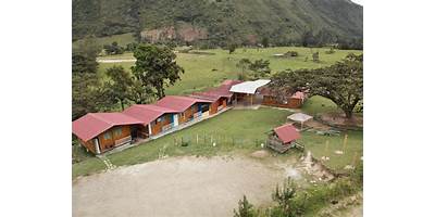 34690 LUCMA PATA