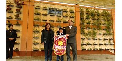 36493 SEBASTIAN LORENTE IBAÑEZ