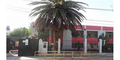 40074 JOSE L. BUSTAMANTE Y RIVERO