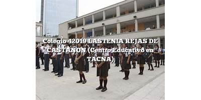 42019 LASTENIA REJAS DE CASTAÑON