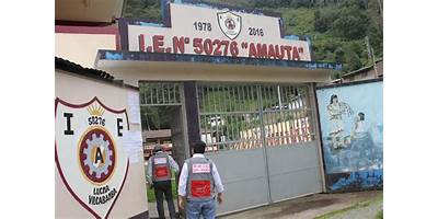 50276 AMAUTA