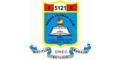 5121 PEDRO PLANAS SILVA