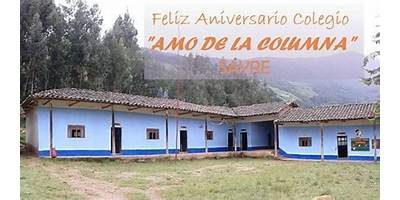 80463 AMO DE LA COLUMNA
