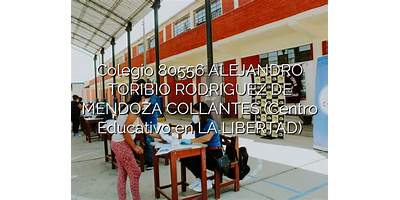 80556 ALEJANDRO TORIBIO RODRIGUEZ DE MENDOZA COLLANTES