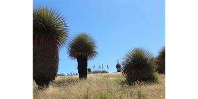80683 SANTUARIO Y RESERVA NACIONAL