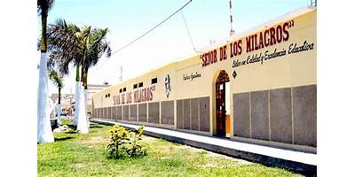 80732 SEÑOR DE LOS MILAGROS