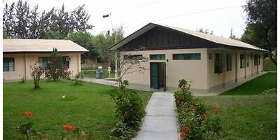 81645