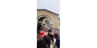 86596 VIRGEN INMACULADA CONCEPCION