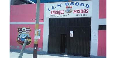 88009 ENRIQUE MEIGGS