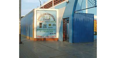 88100 INMACULADA CONCEPCION