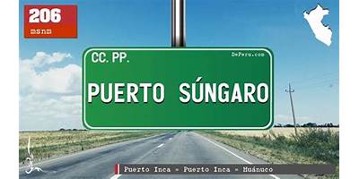 ALTO SUNGARO