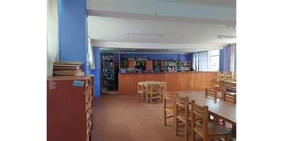 APLICACION PEDAGOGICO PUNO