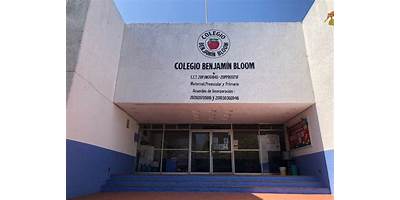 BENJAMIN BLOOM