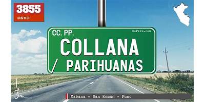 COLLANA
