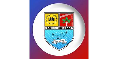 DANIEL GOLEMAN