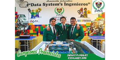 DATA SYSTEM'S INGENIEROS