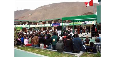 EL IPECU DE VENTANILLA