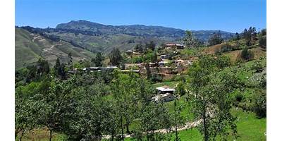 EL NARANJO