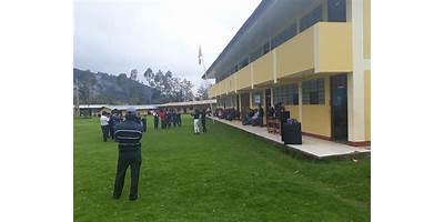 EL PALMITO