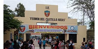FERMIN DEL CASTILLO ARIAS