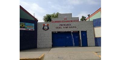 HUSARES DE JUNIN