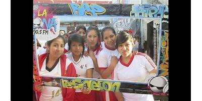 14533 VICTOR RAUL HAYA DE LA TORRE