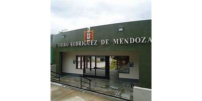 17213 TORIBIO RODRIGUEZ DE MENDOZA