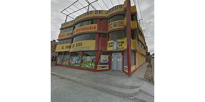 277-11 SEMILLITAS DE JESUS
