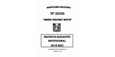 30245 MARIO SANCHEZ MAYTA