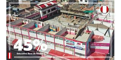 31536 ROSA DE AMERICA